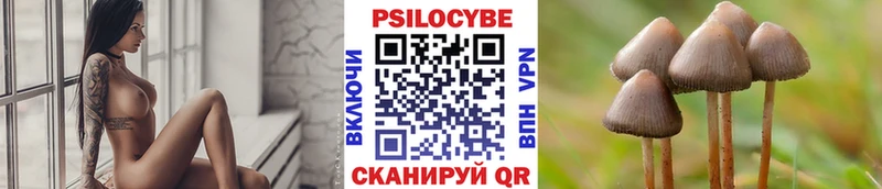 Купить где  Белогорск  Псилоцибиновые грибы прущие грибы 